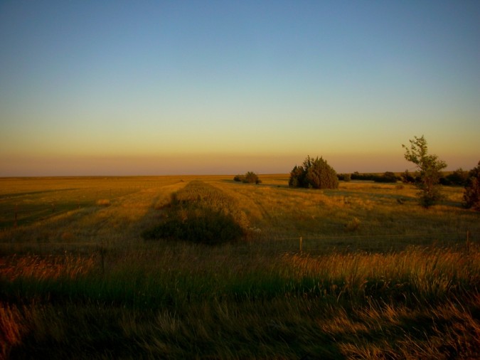 Sunset over wheat field in southeast Colorado